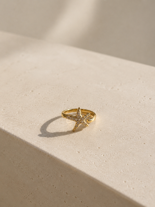 BAGUE ETOILE EN ACIER INOXYDABLE - NOAH